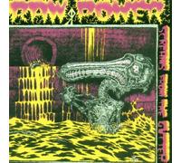 Raw Power - Screams from the Gutter/After Your Brain
