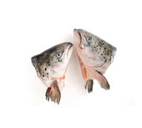 Raw Salmon Heads for Dogs - 10kg Box of Raw and Fresh Dog Treats, and Food - Chilled Delivery - Ideal for Dog Training, Birthdays, and Daily Feeding