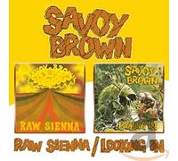 Raw Sienna / Looking In