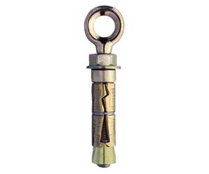 Rawl Eye Rawlbolt Anchor M8 Pack of 2