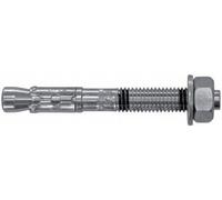 Rawlplug R-XPT-06050 6 x 50 mm M6 Zinc Plated Through Bolt (100 pieces)