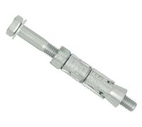 Rawl Loose Bolt Rawlbolt Achor M10 25L Pack of 5