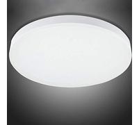 RAWNICE 24W Bathroom Lights Ceiling,Ceiling Lights Round,2050lm Waterproof 6000K Cool White Ø 29cm,Indoor Dome Flush Ceiling Light for Bulkhead, Bedroom,Stairs,Hallway Corridor Balcony