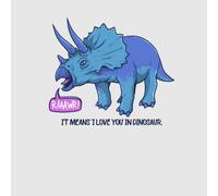 Rawr It Means I Love You Women's T-Shirt - Grey - XXL - Grey