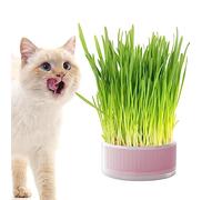 Raxove Herb for Cats, Hydroponic Planters - Removable Germination Tray Without Soil, Grass Box for Cats, Dogs and Other Pets, Home Decoration