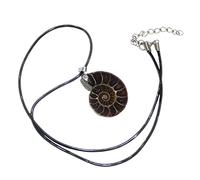 Raxove Shell Necklace, Swirl Conch Fossils Snail Ammonite Pendant - Shell Pendant San Gift for Women and Men