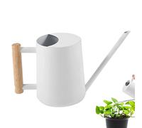 Raxove Steel Watering Can for Indoor Houseplants, Planting Water Cans with Long Spout, Watering Can, Spill-proof Watering Can