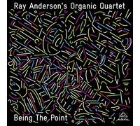 Ray Anderson's Organ - Being The Point - CD - E4z
