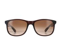 Ray-Ban Sunglasses Andy 4202 607313 Matt Brown Brown Gradient