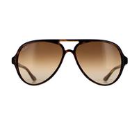 Ray-Ban Cats 5000 Classic RB4125 710/51