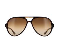 Ray-Ban Cats 5000 Classic RB4125 710/51