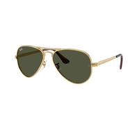 Ray-ban Aviator Max RB3925 001/31