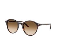 Ray-Ban , Classic Sunglasses Black Frame ,Brown unisex, Sizes: ONE SIZE