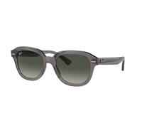 Ray-ban Erik RB4398 667571