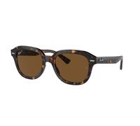 Ray-ban Erik RB4398 902/57