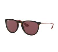 Ray-ban Erika RB4171 639175