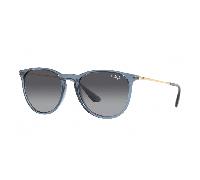 Ray-Ban ERIKA RB4171 6592T3 Polarised Sunglasses