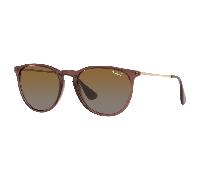 Ray-Ban ERIKA RB4171 6593T5 Polarised Sunglasses