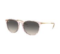 Ray-Ban ERIKA RB4171 674211 Sunglasses