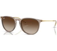 Ray-ban Erika RB4171 674413