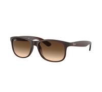 Ray-ban Andy RB4202 607313