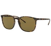 Ray-Ban Men's 0RB4387 Sunglasses, Brown (Havana), 56