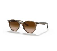 Ray-Ban RB 4305 - Panto Brown
