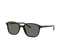 Ray-ban Leonard RB2193 901/58