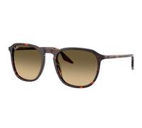 Ray-Ban RB2203 14290A Men's Sunglasses Tortoiseshell Size 52