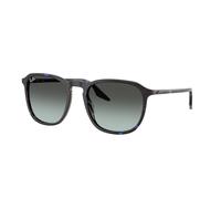 Ray-Ban RB2203 C55 1430GK