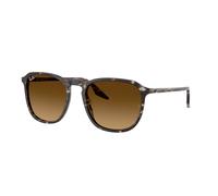 RB2203 Sunglasses in Polished Havana Yellow Tortoiseshell
