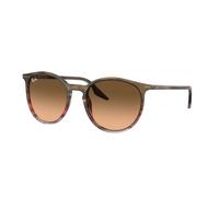 Ray-Ban Sunglasses RB2204 13953B Brown brown Men Women