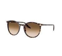 Ray - Ban RB2204 143151 Unisex Sunglasses Acetate Yellow Brown Pantos Normal Shaded