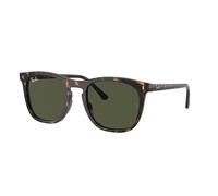 Ray - Ban RB2210 902/31 Unisex Sunglasses Acetate Turtle Green Squared Normal