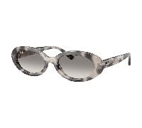 Ray-Ban RB2223 144832 Sunglasses