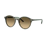 Ray - Ban RB2230 BERNARD 14210A Unisex Sunglasses Acetate Multi-color Brown Pantos Normal