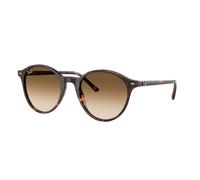 Ray - Ban RB2230 BERNARD 902/51 Unisex Sunglasses Acetate Turtle Brown Pantos Normal Shaded