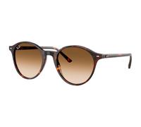 Ray - Ban RB2230 BERNARD 902/51 Unisex Sunglasses Acetate Turtle Brown Pantos Normal Shaded