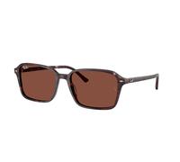 Ray - Ban RB2231 RAIMOND 1416C5 Unisex Sunglasses Acetate Violet Red Squared Normal