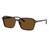 Ray-Ban RB2231F Raimond Asian Fit Polarized 902/57 Men's Sunglasses Tortoiseshell Size 56