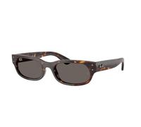 Ray - Ban RB2236 902/B1 Unisex Sunglasses Acetate Turtle Grey Geometric Normal