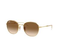 Ray - Ban RB3809 001/51 Unisex Sunglasses Metal Gold Brown Pantos Normal Shaded