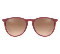 Ray-ban Erika RB4171 6815A5