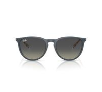 Ray-ban Erika RB4171 681311