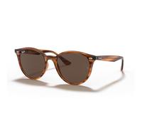 Ray-Ban RB4305 Rounded Sunglasses for Men for Women +BUNDLE with ACCESSORY EYEWEAR KIT