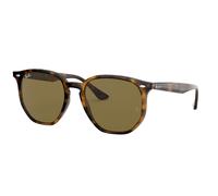 Ray - Ban RB4306 710/73 Unisex Sunglasses Injected Turtle Geometric Normal