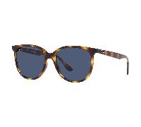 Ray-Ban RB4378 710/80 Sunglasses