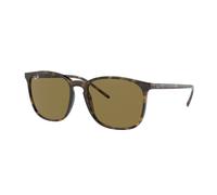 Ray - Ban RB4387 710/73 Unisex Sunglasses Injected Turtle Squared Normal