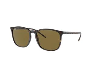 Ray - Ban RB4387F 902/73 Unisex Sunglasses Acetate Turtle Brown Squared Normal