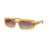 Ray - Ban RB4395 KILIANE 66828H Unisex Sunglasses Acetate Yellow Violet Pillow Normal Shaded